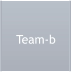 Team-b